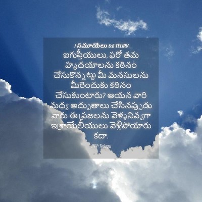 Picture 04 - 1 సమూయేలు 6:6 TELIRV - ఐగుప్తీయులు, ఫరో - Bible Verse Picture
