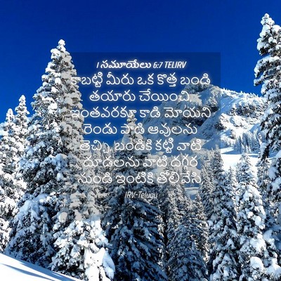 Picture 04 - 1 సమూయేలు 6:7 TELIRV - కాబట్టి మీరు ఒక - Bible Verse Picture