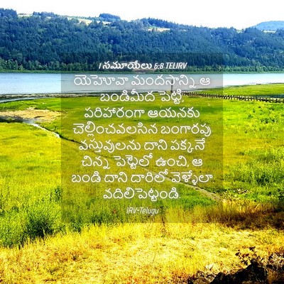 Picture 04 - 1 సమూయేలు 6:8 TELIRV - యెహోవా మందసాన్ని - Bible Verse Picture