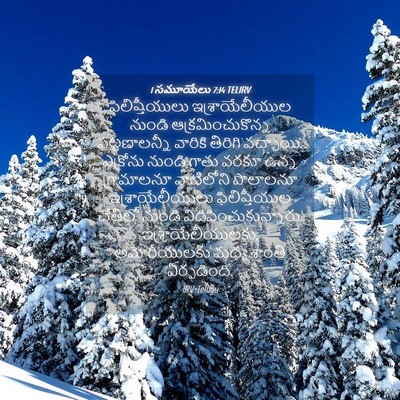 Picture 04 - 1 సమూయేలు 7:14 TELIRV - ఫిలిష్తీయులు - Bible Verse Picture