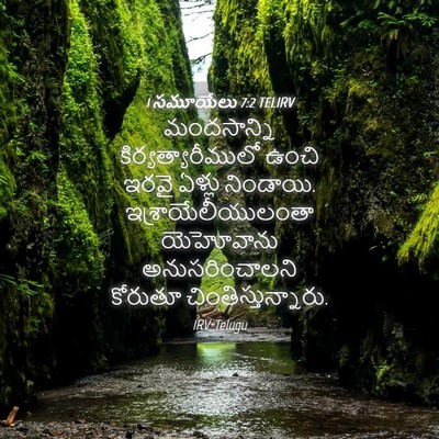 Picture 04 - 1 సమూయేలు 7:2 TELIRV - మందసాన్ని - Bible Verse Picture