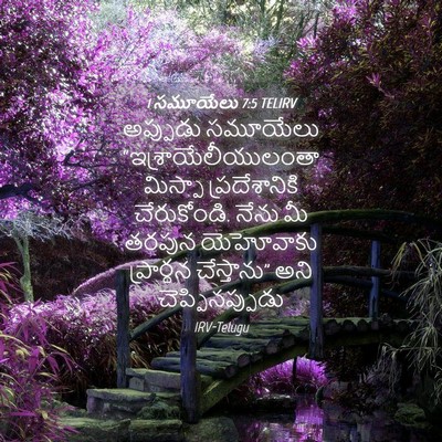 Picture 04 - 1 సమూయేలు 7:5 TELIRV - అప్పుడు సమూయేలు - Bible Verse Picture