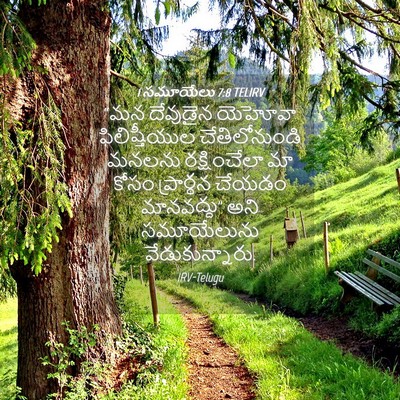 Picture 04 - 1 సమూయేలు 7:8 TELIRV - “మన దేవుడైన - Bible Verse Picture