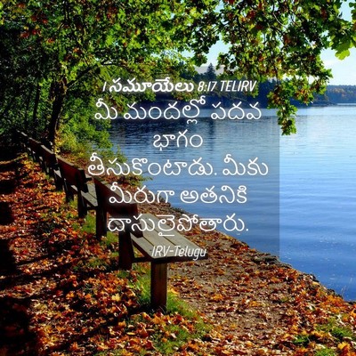 Picture 04 - 1 సమూయేలు 8:17 TELIRV - మీ మందల్లో పదవ - Bible Verse Picture