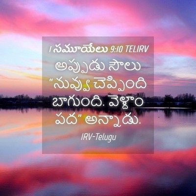 Picture 04 - 1 సమూయేలు 9:10 TELIRV - అప్పుడు సౌలు - Bible Verse Picture