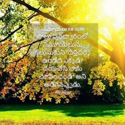 Picture 04 - 1 సమూయేలు 9:18 TELIRV - సౌలు పురద్వారంలో - Bible Verse Picture