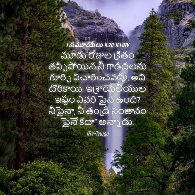 Picture 04 - 1 సమూయేలు 9:20 TELIRV - మూడు రోజుల క్రితం - Bible Verse Picture