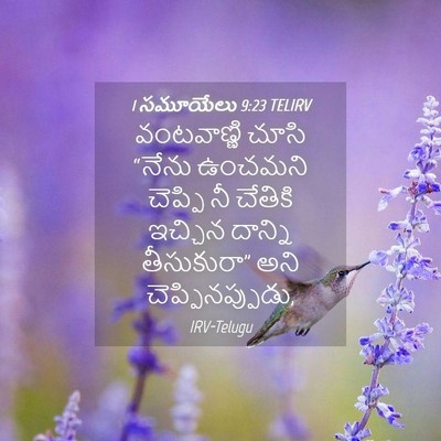 Picture 04 - 1 సమూయేలు 9:23 TELIRV - వంటవాణ్ణి చూసి - Bible Verse Picture