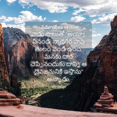 Picture 04 - 1 సమూయేలు 9:8 TELIRV - వాడు సౌలుతో - Bible Verse Picture