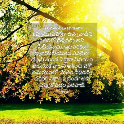 Picture 04 - 1 సమూయేలు 9:9 TELIRV - ఇప్పుడు ప్రవక్తగా - Bible Verse Picture