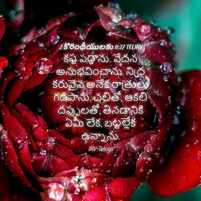 Picture 04 - 2 కొరింథీయులకు 11:27 TELIRV - కష్ట పడ్డాను. వేదన - Bible Verse Picture
