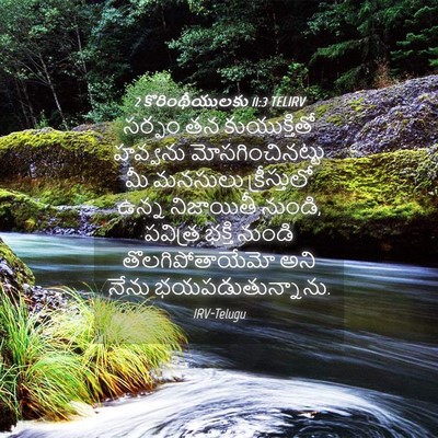 Picture 04 - 2 కొరింథీయులకు 11:3 TELIRV - సర్పం తన - Bible Verse Picture