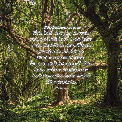 Picture 04 - 2 కొరింథీయులకు 11:9 TELIRV - నేను మీతో - Bible Verse Picture