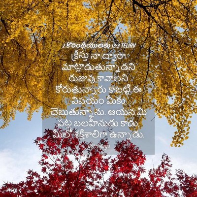 Picture 04 - 2 కొరింథీయులకు 13:3 TELIRV - క్రీస్తు నా - Bible Verse Picture