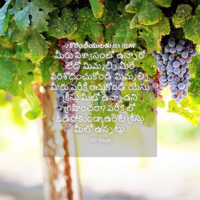 Picture 04 - 2 కొరింథీయులకు 13:5 TELIRV - మీరు విశ్వాసంలో - Bible Verse Picture