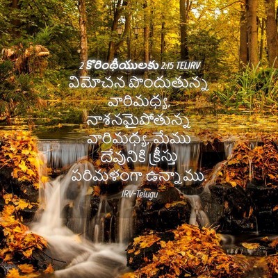 Picture 04 - 2 కొరింథీయులకు 2:15 TELIRV - విమోచన పొందుతున్న - Bible Verse Picture
