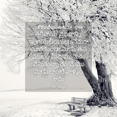 Picture 04 - 2 కొరింథీయులకు 3:12 TELIRV - తగ్గిపోయే - Bible Verse Picture