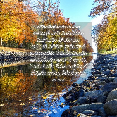 Picture 04 - 2 కొరింథీయులకు 3:14 TELIRV - అయితే వారి మనసులు - Bible Verse Picture