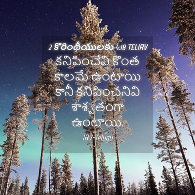 Picture 04 - 2 కొరింథీయులకు 4:18 TELIRV - కనిపించేవి కొంత - Bible Verse Picture