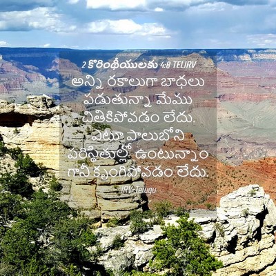 Picture 04 - 2 కొరింథీయులకు 4:8 TELIRV - అన్ని రకాలుగా - Bible Verse Picture