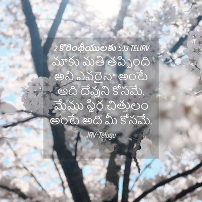 Picture 04 - 2 కొరింథీయులకు 5:13 TELIRV - మాకు మతి తప్పింది - Bible Verse Picture