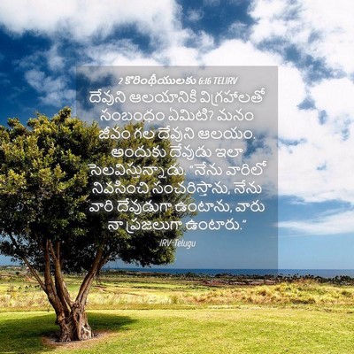 Picture 04 - 2 కొరింథీయులకు 6:16 TELIRV - దేవుని ఆలయానికి - Bible Verse Picture