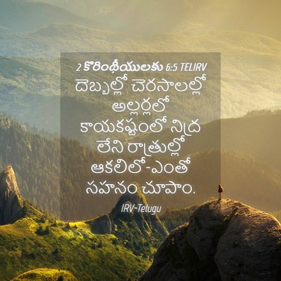 Picture 04 - 2 కొరింథీయులకు 6:5 TELIRV - దెబ్బల్లో - Bible Verse Picture