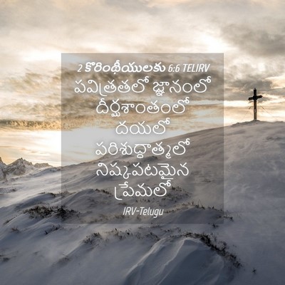 Picture 04 - 2 కొరింథీయులకు 6:6 TELIRV - పవిత్రతలో - Bible Verse Picture