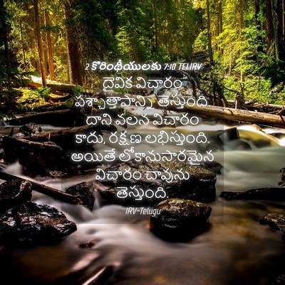 Picture 04 - 2 కొరింథీయులకు 7:10 TELIRV - దైవిక విచారం - Bible Verse Picture