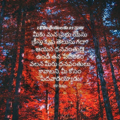 Picture 04 - 2 కొరింథీయులకు 8:9 TELIRV - మీకు మన ప్రభు యేసు - Bible Verse Picture