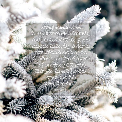 Picture 04 - 2 కొరింథీయులకు 9:2 TELIRV - మీ ఆసక్తి నాకు - Bible Verse Picture