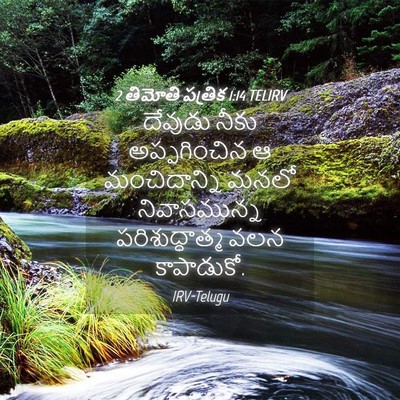 Picture 04 - 2 తిమోతి పత్రిక 1:14 TELIRV - దేవుడు నీకు - Bible Verse Picture