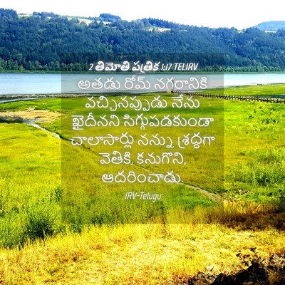 Picture 04 - 2 తిమోతి పత్రిక 1:17 TELIRV - అతడు రోమ్ - Bible Verse Picture