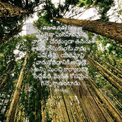 Picture 04 - 2 తిమోతి పత్రిక 2:21 TELIRV - ఎవరైనా ఘనహీనమైన - Bible Verse Picture