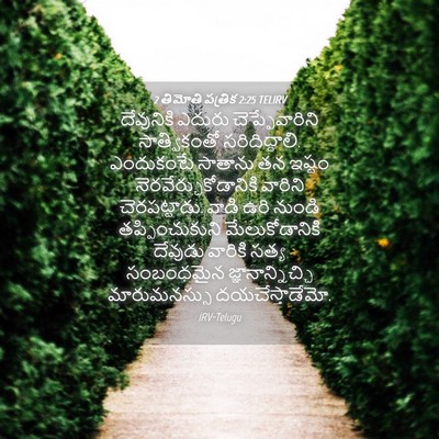 Picture 04 - 2 తిమోతి పత్రిక 2:25 TELIRV - దేవునికి ఎదురు - Bible Verse Picture