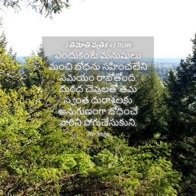 Picture 04 - 2 తిమోతి పత్రిక 4:3 TELIRV - ఎందుకంటే మనుషులు - Bible Verse Picture