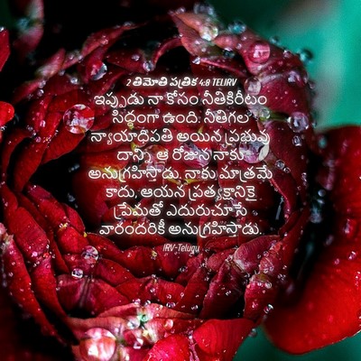 Picture 04 - 2 తిమోతి పత్రిక 4:8 TELIRV - ఇప్పుడు నా కోసం - Bible Verse Picture
