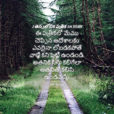 Picture 04 - 2 తెస్సలోనిక పత్రిక 3:14 TELIRV - ఈ పత్రికలో మేము - Bible Verse Picture