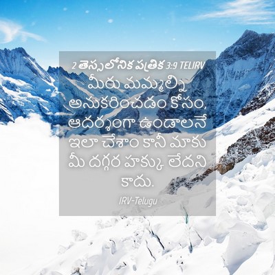 Picture 04 - 2 తెస్సలోనిక పత్రిక 3:9 TELIRV - మీరు మమ్మల్ని - Bible Verse Picture