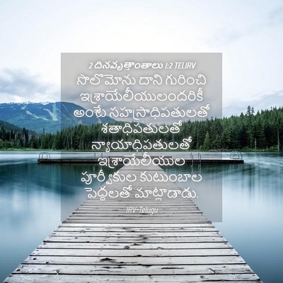 Picture 04 - 2 దినవృత్తాంతాలు 1:2 TELIRV - సొలొమోను దాని - Bible Verse Picture