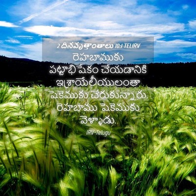 Picture 04 - 2 దినవృత్తాంతాలు 10:1 TELIRV - రెహబాముకు - Bible Verse Picture