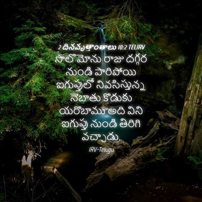 Picture 04 - 2 దినవృత్తాంతాలు 10:2 TELIRV - సొలొమోను రాజు - Bible Verse Picture