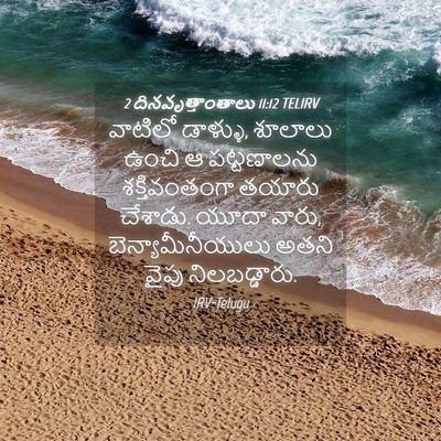 Picture 04 - 2 దినవృత్తాంతాలు 11:12 TELIRV - వాటిలో డాళ్ళు, - Bible Verse Picture