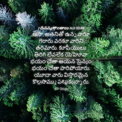 Picture 04 - 2 దినవృత్తాంతాలు 14:13 TELIRV - ఆసా, అతనితో - Bible Verse Picture