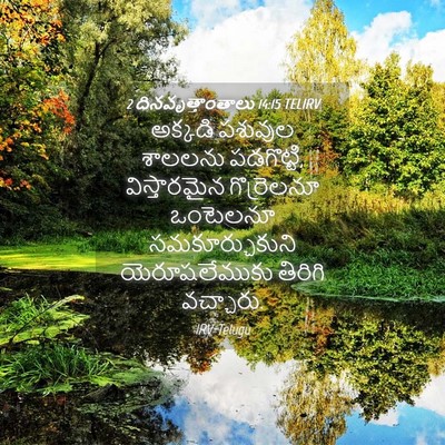 Picture 04 - 2 దినవృత్తాంతాలు 14:15 TELIRV - అక్కడి పశువుల - Bible Verse Picture