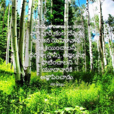 Picture 04 - 2 దినవృత్తాంతాలు 14:4 TELIRV - వారి పూర్వీకుల - Bible Verse Picture