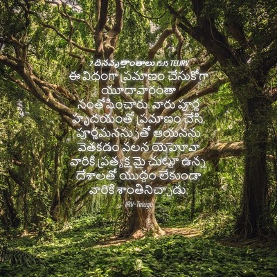 Picture 04 - 2 దినవృత్తాంతాలు 15:15 TELIRV - ఈ విధంగా ప్రమాణం - Bible Verse Picture