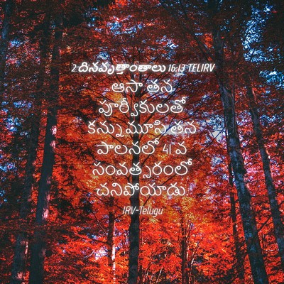 Picture 04 - 2 దినవృత్తాంతాలు 16:13 TELIRV - ఆసా తన - Bible Verse Picture