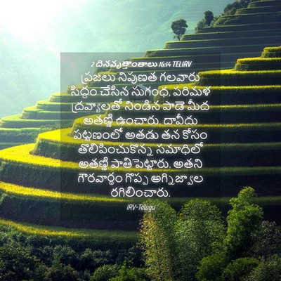 Picture 04 - 2 దినవృత్తాంతాలు 16:14 TELIRV - ప్రజలు నిపుణత - Bible Verse Picture