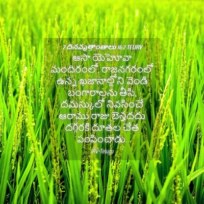 Picture 04 - 2 దినవృత్తాంతాలు 16:2 TELIRV - ఆసా యెహోవా - Bible Verse Picture